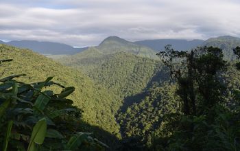Braulio Carrillo National Park, Costa Rica