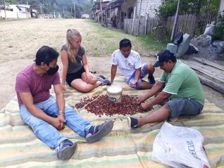 Planeterra project in Ecuador