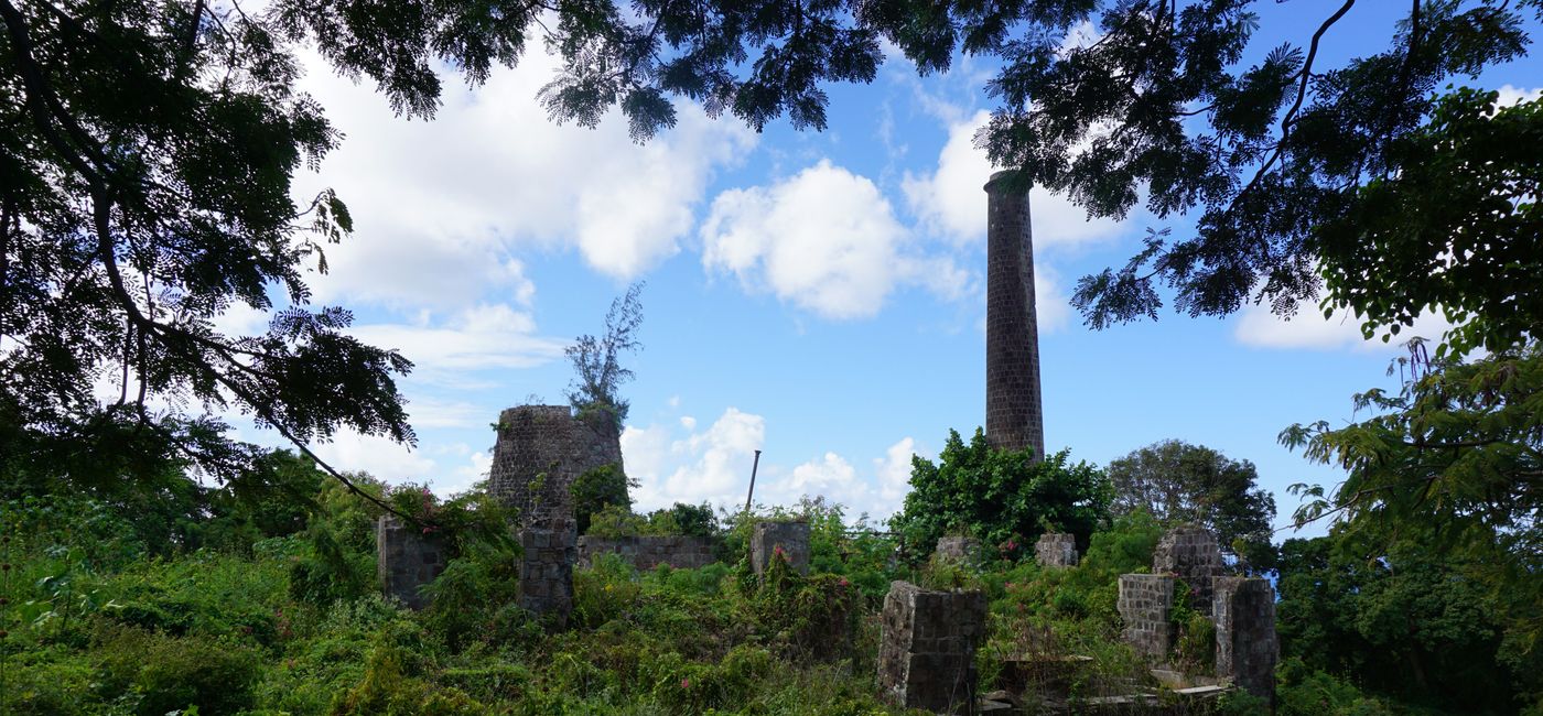 Image: Nevis Tourism Authority is highlighting the island's lush natural landscape. (Photo by Brian Major)