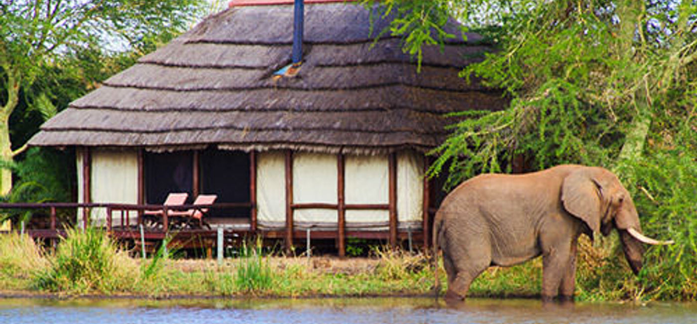 Image: Highlights of Railbookers' new selection of South African train vacations include Kruger National Park (pictured here), the Garden Route, and Stellenbosch valley. (photo via Kruger National park) (Railbookers)