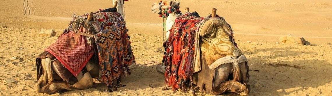 Egypt Journey Information, Information and Info Egypt Journey Information, Information and Info