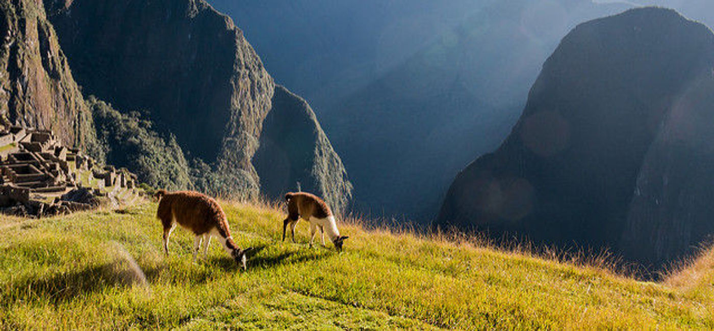 Image: PHOTO: The hillsides of Machu Picchu. (Courtesy Flickr/Eden Fortunato)