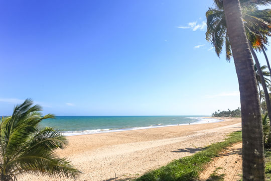 Trancoso, Bahía.  Porto Seguro, Brasil.  Sudamerica.