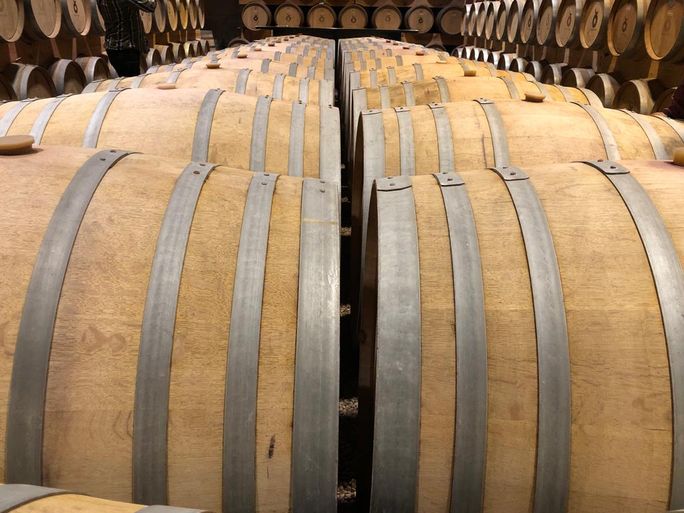 Wine barrels at Cuna de Tierra