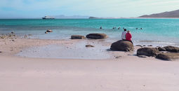 Baja Mexico, UnCruise Adventures, Mexico cruises
