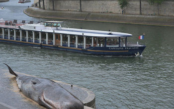 Beached sperm whale, art display, Paris