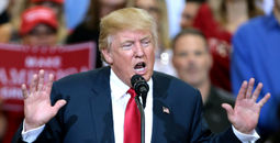 President Donald Trump
