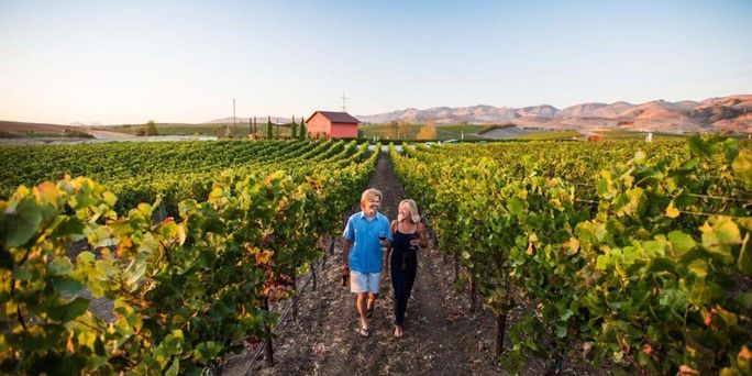 A couple strolls through an Edna Valley vineyard in San Luis Obispo, California. couple, vineyard, winery, Edna Valley, San Luis Obispo, central coast, California