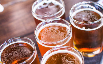 Beer flight served in brewery hotspot Asheville, North Carolina