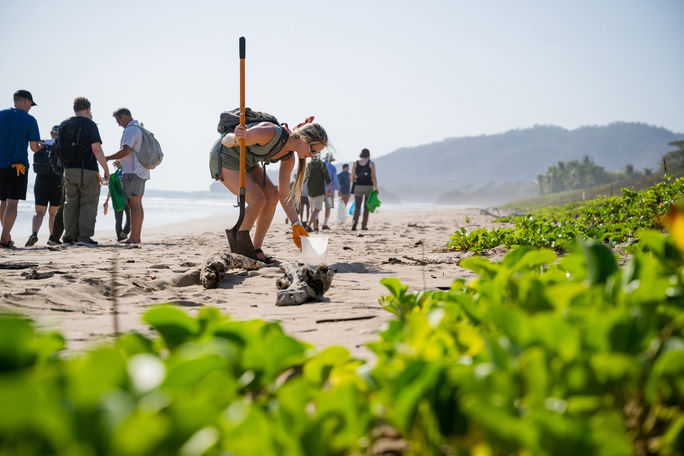 Beach clean-up at Tamarindo Wildlife Preserve during a National Geographic Expeditions "Costa Rica: Conservation and Ecology" trip. Tamarindo Wildlife Refuge, Guanacaste, Disney Signature Experiences, National Geographic Expeditions, Costa Rica, Central America, birdwatching, wildlife, conservation, ecology, tours, land, journeys, explorations, rainforests, beaches, coastlines, beach clean-up