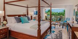 Caribbean Tropical Premium