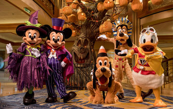 Halloween on the High Seas &ndash; The Pumpkin Tree Aboard the Disney Dream