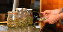 Purchasing cannabis.