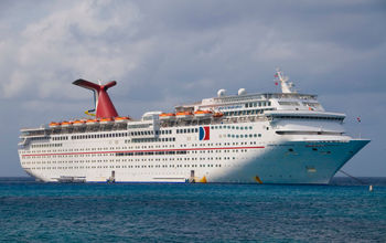 Carnival Inspiration