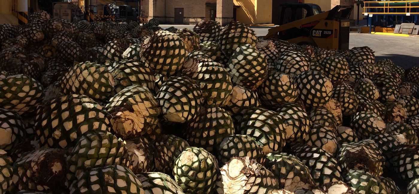 Image: Tequila Distillery in Tequila, Mexico (Photo via Will McGough)