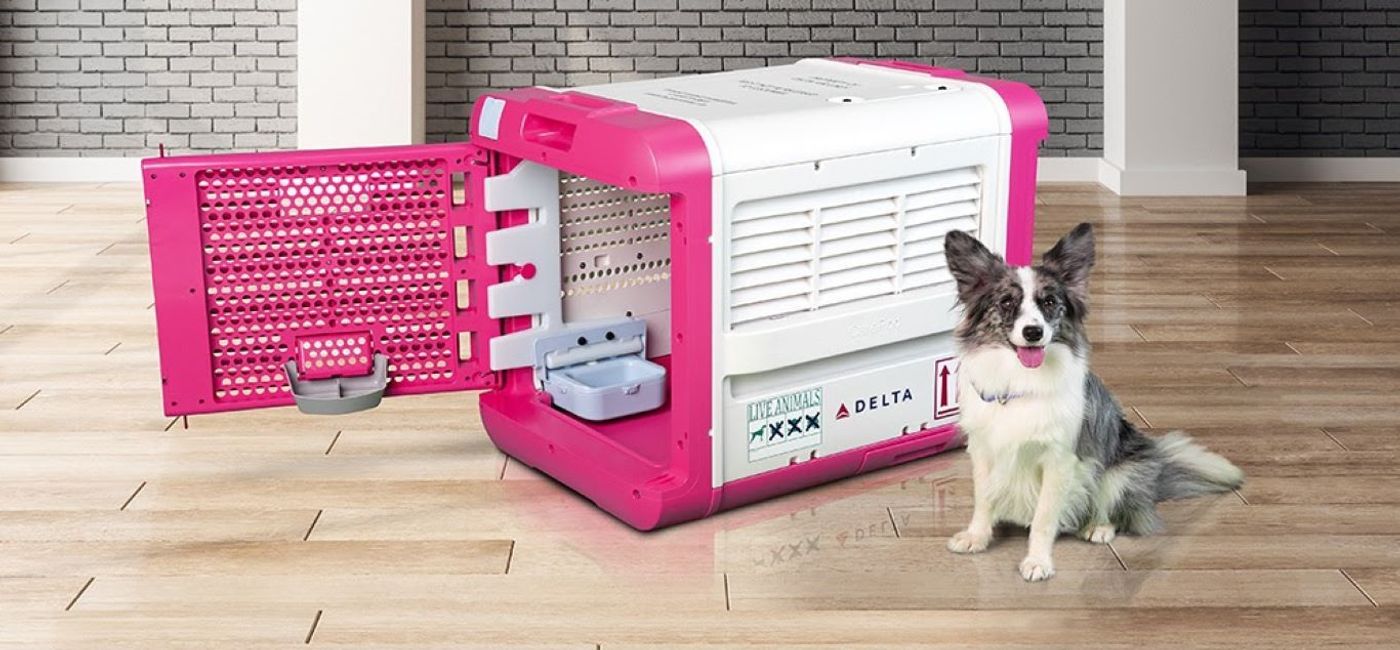 Image: PHOTO: The pet-approved pet travel carrier, the CarePod. (photo via Delta Air Lines)