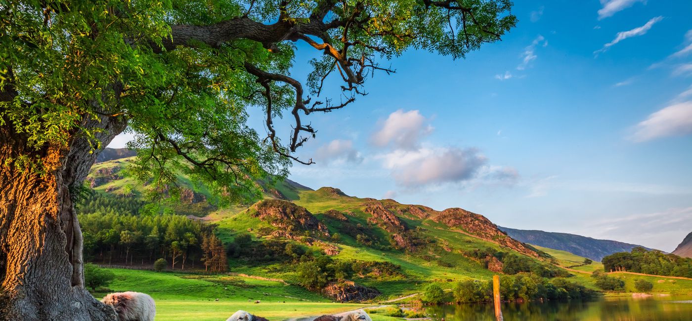 Image: The British countryside. (photo via TTC Tour Brands) ((photo via TTC Tour Brands))