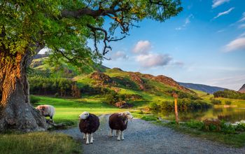 Great Britain, countryside, British countryside, TTC Tour Brands