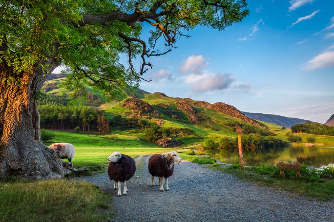 The British countryside. Great Britain, countryside, British countryside, TTC Tour Brands