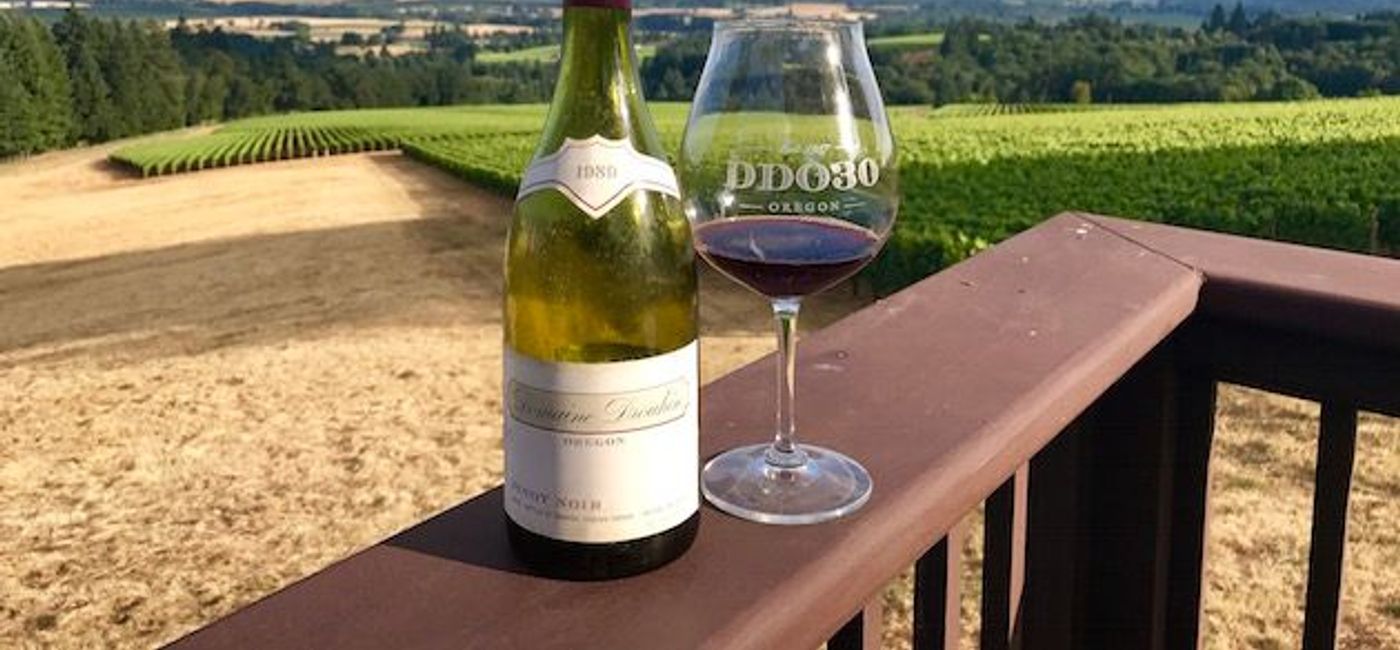 Image: PHOTO: Domaine Drouhin Oregon's revered pinot noir wine. (photo by Chelsea Davis)