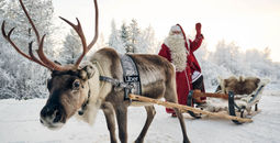 Uber Sleigh, Santa, reindeer, sleigh, Lapland, Finland, Rovaniemi, Apukka Resort