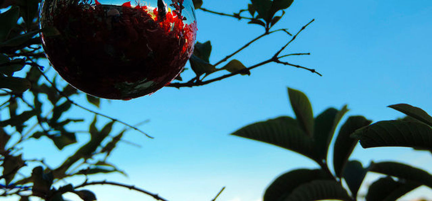 Image: PHOTO: Imagine walking up in Acapulco on Christmas Day? (Courtesy Flickr/Pablo Linares)