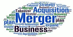 Merger Logo
