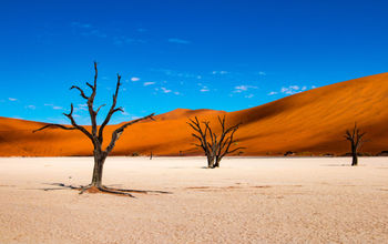 Deadvlei near Sossusvlei in Namibia