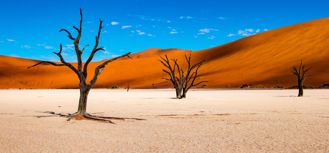 Image: Deadvlei near Sossusvlei in Namibia. (photo via evenfh/iStock/Getty Images Plus)