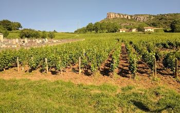 Rock of Solutre west of Macon, France - in the south of the Bourgogne in France