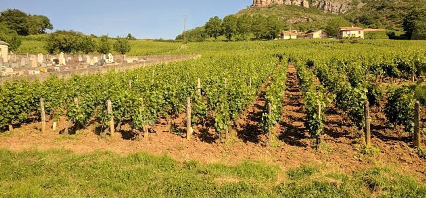 Image: PHOTO: Rock of Solutre west of Macon, France - in the south of the Bourgogne in France. (photo by Eric Bowman)