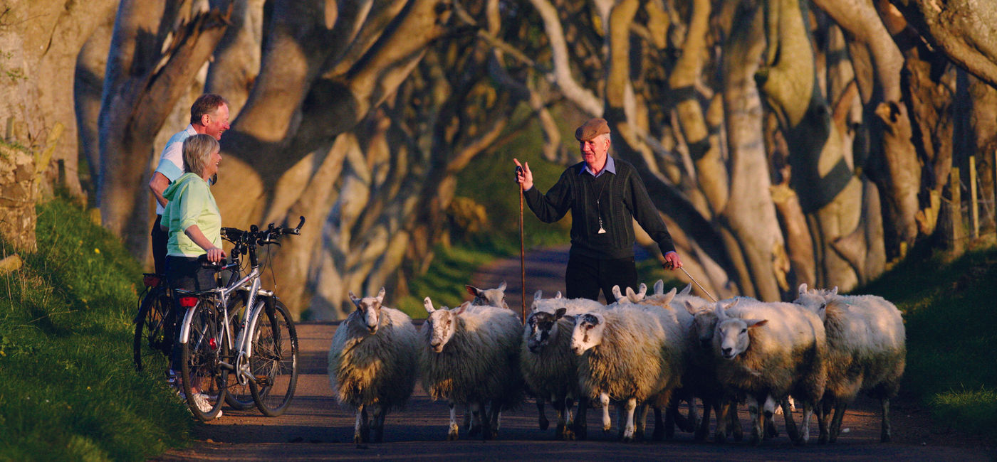 Image: A couple stops to let sheep pass while on a bike ride in the U.K.  (Photo Credit: TTC Tour Brands)