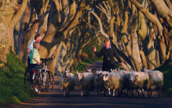TTC Tour Brands, U.K., bike rides, active trips, active vacations, active lifestyle, sheep