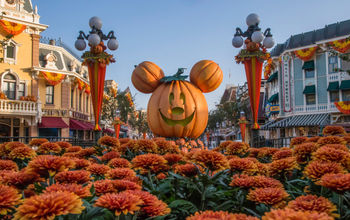 Halloween Time at Disneyland Resort