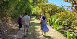 Dominique Marchand leading Coulibri Ridge walk