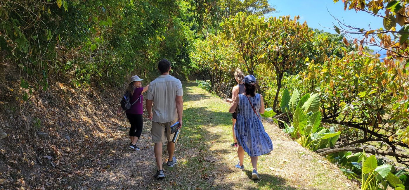 Image: Dominique Marchand (at left) leads a tour of the Coulibri Ridge property earlier this year. (Photo by Brian Major)