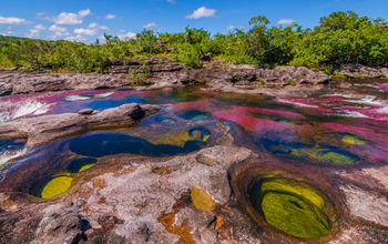 Cano Cristales River, Colombia