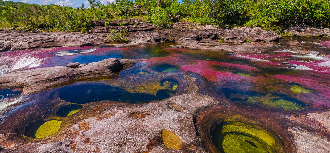 Image: Cano Cristales River, Colombia. (photo via Claudio Sieber/iStock/Getty Images Plus)