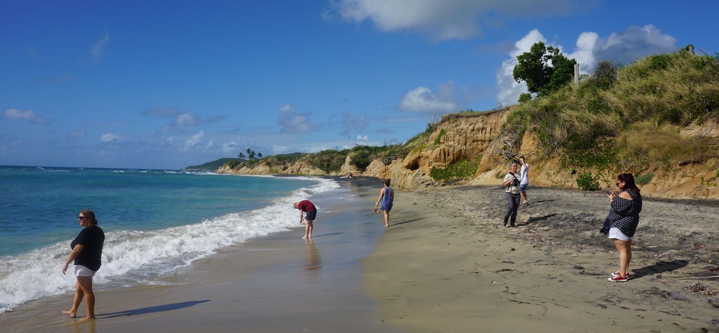 Image: Beach in Vieques, Puerto Rico. (photo by Brian Major)