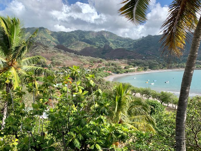 Le Nuku Hiva Tropical foliage and palm trees cascading down mountainside toward black sand beach
