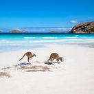 Visit Australia & New Zealand & Receive a $200 Air Credit with United Airlines