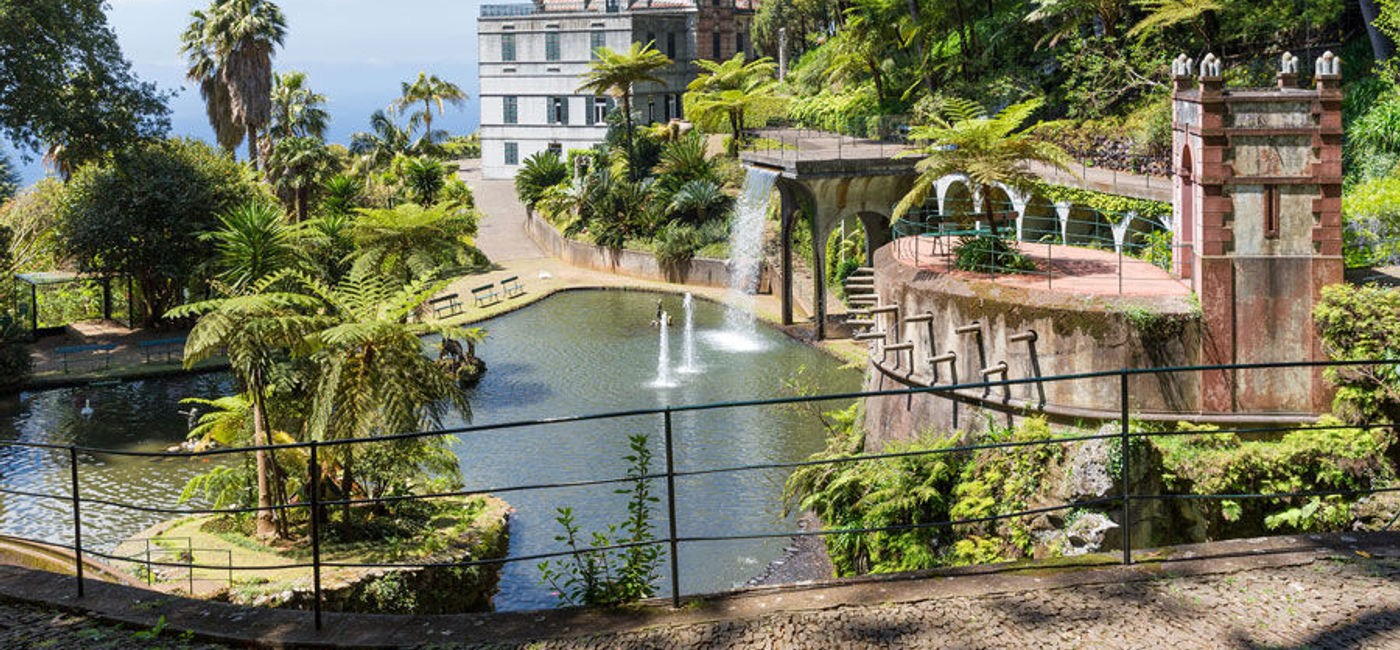 Image: PHOTO: The beautiful Madeira Island. (photo courtesy of Collette) 