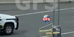 Dog at airport