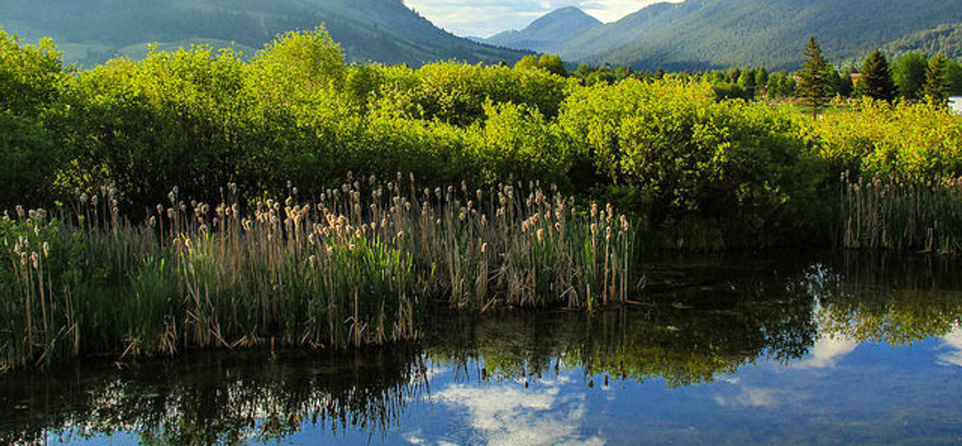 Image: PHOTO: Jackson Hole, Wyoming. (photo via Flickr/ Dianne Graham)  (Flickr/Dianne Graham)