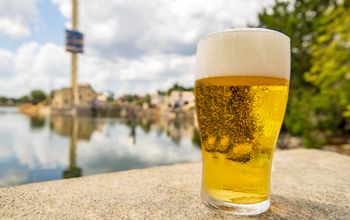Free beer at SeaWorld Orlando