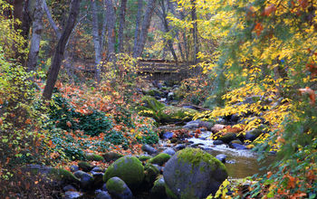 Lithia Park in Ashland, Oregon.