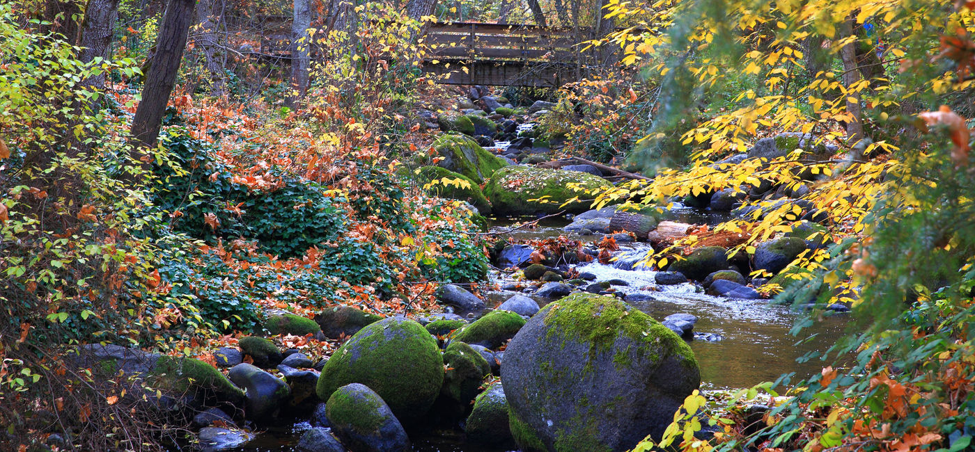 Image: Lithia Park in Ashland, Oregon. (photo via 4nadia / iStock / Getty Images Plus)