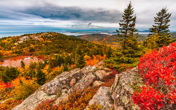 Fall Foliage atop Cadillac Mountain in Acadia National Park, Maine