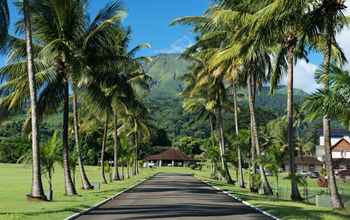 Distillerie Depaz, Martinique