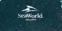 SeaWorld, Orlando, roller coaster